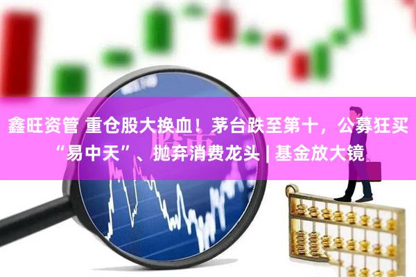 鑫旺资管 重仓股大换血！茅台跌至第十，公募狂买“易中天”、抛弃消费龙头 | 基金放大镜