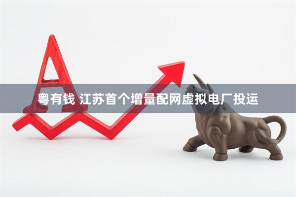 粤有钱 江苏首个增量配网虚拟电厂投运