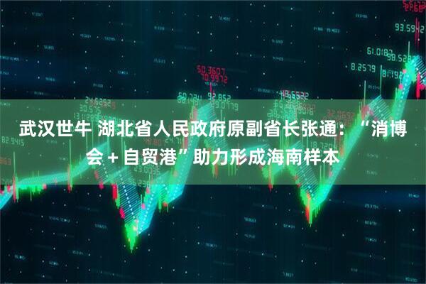 武汉世牛 湖北省人民政府原副省长张通：“消博会＋自贸港”助力形成海南样本