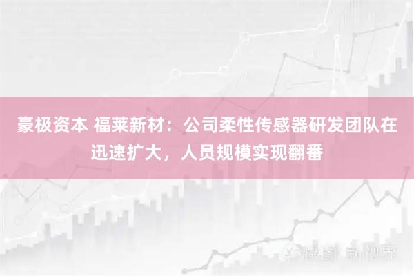 豪极资本 福莱新材：公司柔性传感器研发团队在迅速扩大，人员规模实现翻番