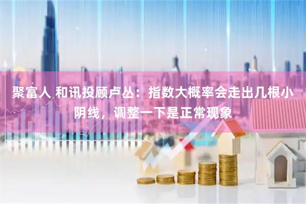 聚富人 和讯投顾卢丛：指数大概率会走出几根小阴线，调整一下是正常现象
